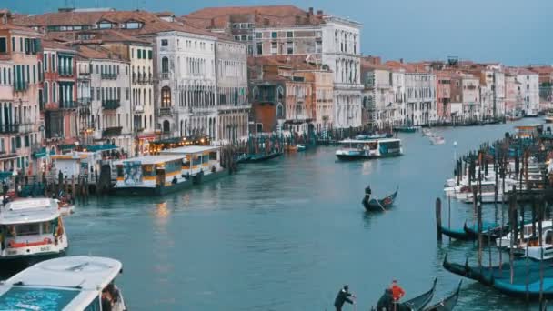Gran Canal. Vista desde el Puente de Rialto. Venecia Italia . — Vídeo de stock