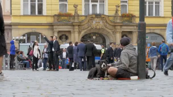 Żebrak bezdomny człowiek z pies prosi o jałmużnę na ulicy w Prague, Republika Czeska — Wideo stockowe