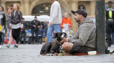 Dilenci ile köpek sokakta Prag, Çek Cumhuriyeti için sadaka için yalvarıyor. Ağır çekim