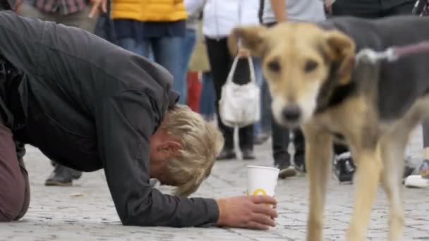 Žebrák bezdomovec s plastový kelímek ve svých rukou na chodníku prosí o almužnu od lidí kolem — Stock video