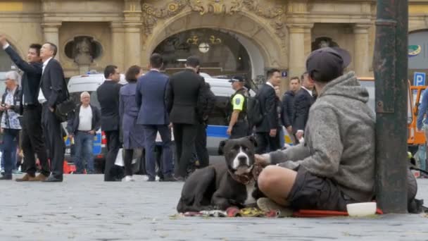 Бездомный нищий с собакой просит милостыню на улице в Праге, Чехия — стоковое видео