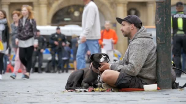 Żebrak z pies prosi o jałmużnę na ulicy w Prague, Republika Czeska. Zwolnionym tempie — Wideo stockowe