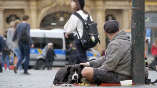 Bettler mit Hund, der auf der Straße in Prag um Almosen bettelt. Zeitlupe