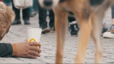 Dilenci evsizi sadaka insanlar geçen tarafından kaldırım yalvarır üzerinde onun elinde plastik kap ile