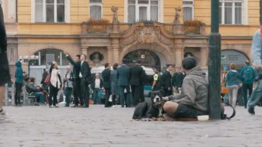 Çek Cumhuriyeti Prag 'da sokakta köpek dilenen dilenci.