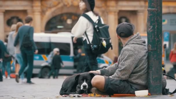 Mendigo con perro pidiendo limosna en la calle en Praga, República Checa. Moción lenta — Vídeos de Stock