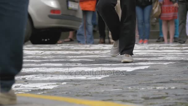 Legs of Crowd People Walking on the Pedestrian Crossing in Slow Motion — Stock Video