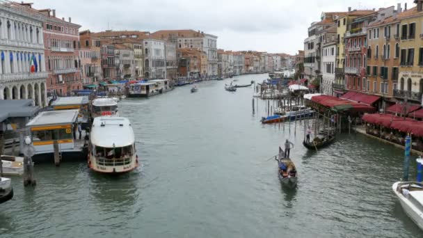 Velence Olaszország Grand Canal közlekedési útvonalakon, Nézd meg a Rialto-híd. — Stock videók