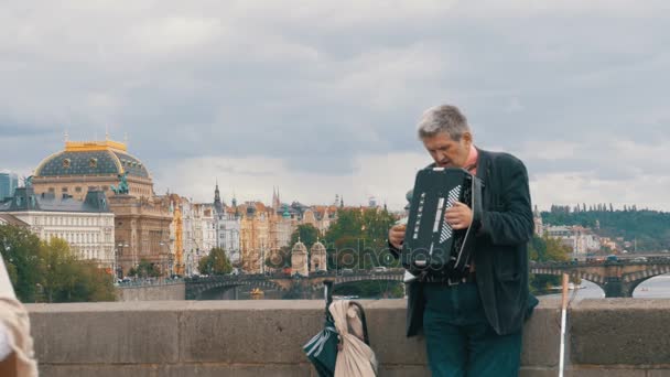 Músico callejero con acordeón toca y canta canciones en el Puente de Carlos, Praga, República Checa — Vídeos de Stock