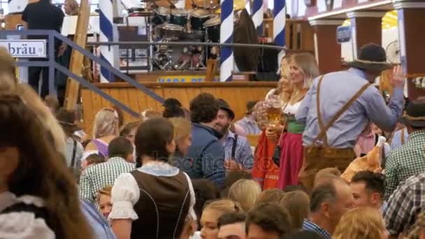 Bir büyük bira çadır içinde ulusal kostüm kızlarda Oktoberfest kutlamak. Bavyera, Almanya. — Stok video
