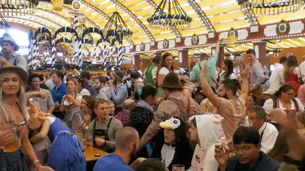 Толпа пьяных людей в национальных костюмах пьет пиво и веселится в огромном пивном зале. Бавария, Германия — стоковое видео