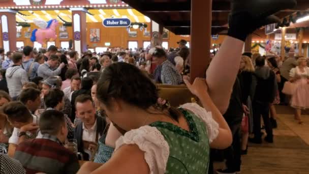 Celebración del Oktoberfest dentro de una gran tienda de cerveza. Baviera, Alemania — Vídeo de stock