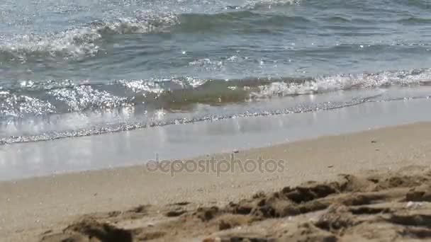 Fal morskich toczą się na piaszczystej plaży — Wideo stockowe