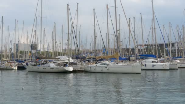 Park edilmiş gemiler, tekneler, yatlar Port Vell Barcelona, İspanya. — Stok video