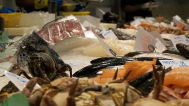 La Boqueria balık pazarında deniz ürünleri ile sayaç. Barcelona. İspanya.
