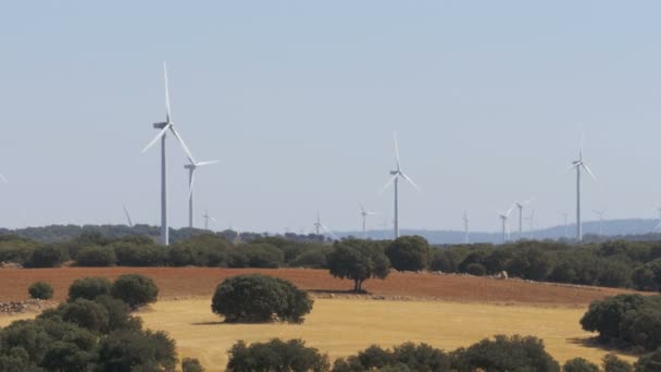 西班牙沙漠中的风力发电 — 图库视频影像