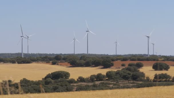 La energía eólica en el desierto de España — Vídeos de Stock