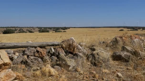 Ανεμογεννήτριες σε φόντο από πέτρα στην έρημο της Ισπανίας — Αρχείο Βίντεο