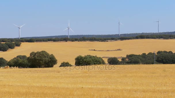 La energía eólica en el desierto de España — Vídeos de Stock