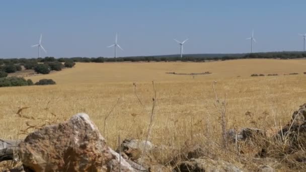 Windräder auf einem steinernen Hintergrund in der Wüste Spaniens — Stockvideo