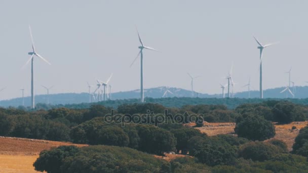 Turbiny wiatrowe na pustyni w Hiszpanii — Wideo stockowe
