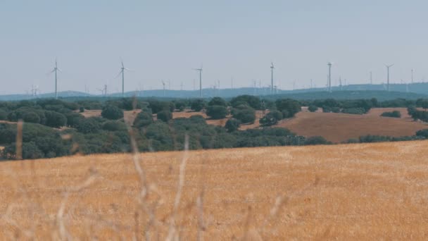 A spanyol Desert Wind Power — Stock videók