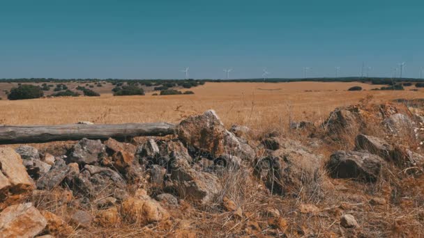 Ветроэнергетика в пустыне Испании — стоковое видео
