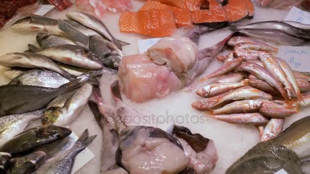 Showcase med skaldjur i isen vid marknaden La Boqueria fisk. Barcelona. Spanien — Stockvideo