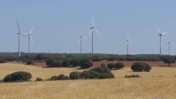 Turbinas eólicas en el desierto de España — Vídeos de Stock