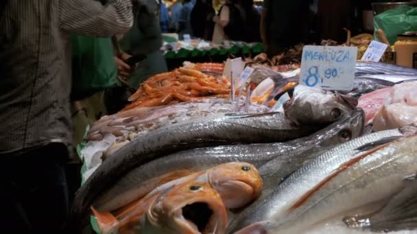 Räknare med skaldjur i isen vid marknaden La Boqueria fisk. Barcelona. Spanien. — Stockvideo