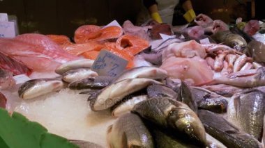 Deniz buz La Boqueria balık Market ürünleri ile vitrin. Barcelona. İspanya