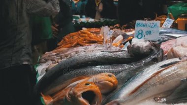 Deniz buz La Boqueria balık Market ürünleri ile vitrin. Barcelona. İspanya.