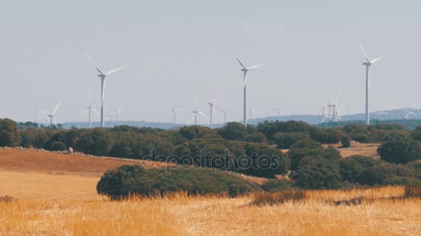 Вітрових турбін в пустелі Іспанії — стокове відео