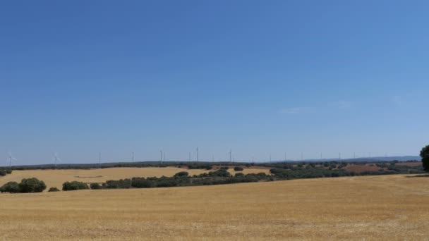 Energia Eólica no Deserto de Espanha — Vídeo de Stock
