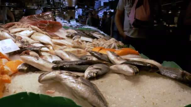 Räknare med skaldjur i La Boqueria fiskmarknad. Barcelona. Spanien. — Stockvideo