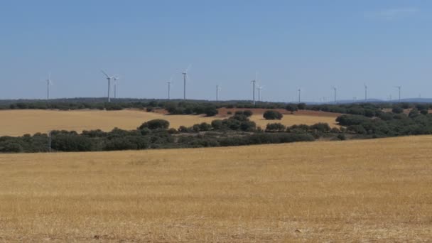 Wind Power in the Desert of Spain — Stock Video