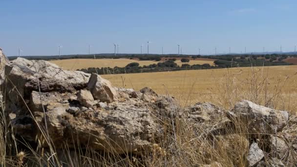 La energía eólica en el desierto de España — Vídeos de Stock