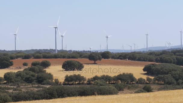 Turbinas eólicas en el desierto de España — Vídeos de Stock