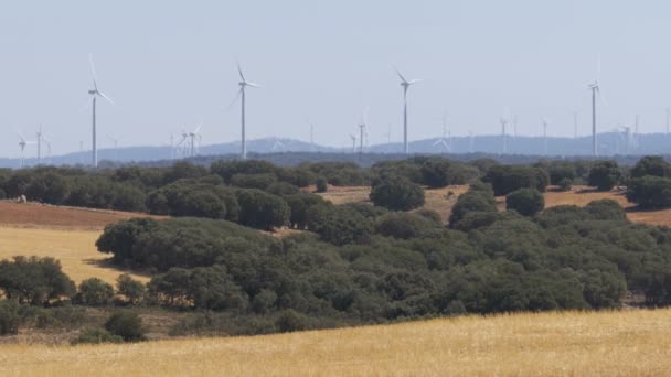 Turbinas eólicas en el desierto de España — Vídeos de Stock