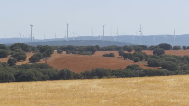 Turbinas eólicas en el desierto de España — Vídeos de Stock