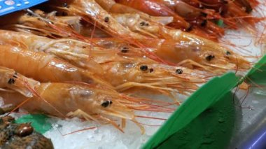 Buz üstünde belgili tanımlık sayaç La Boqueria balık pazarında kırmızı kerevit. Barcelona. İspanya.