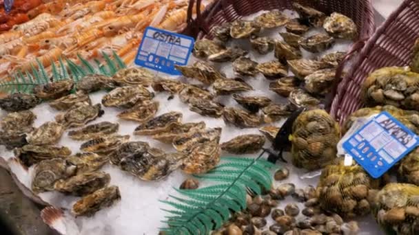 Vitrine met verse zeevruchten in La Boqueria vismarkt. Barcelona. Spanje. — Stockvideo