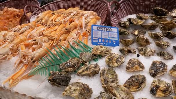 Vitrína s čerstvými plody moře v La Boqueria rybího trhu. Barcelona. Španělsko. — Stock video