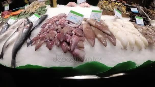 Contador com frutos do mar em La Boqueria Fish Market. Barcelona. Espanha . — Vídeo de Stock