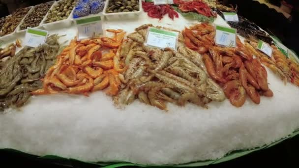 Theke mit Meeresfrüchten in Eis auf dem Boqueria Fischmarkt. Barcelona. Spanien. — Stockvideo