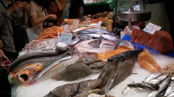 Showcase med skaldjur i isen vid marknaden La Boqueria fisk. Barcelona. Spanien. — Stockvideo