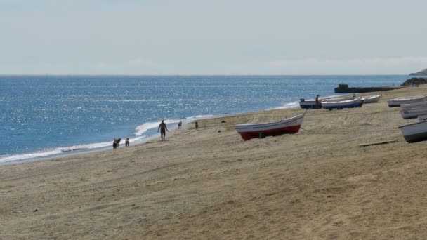 Un hombre jugando con perros cerca del mar. Barcos de pesca en la costa de Gibraltar, España . — Vídeos de Stock