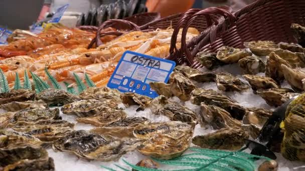 Escaparate con mariscos frescos en el mercado de pescado de La Boqueria. Barcelona. España . — Vídeos de Stock