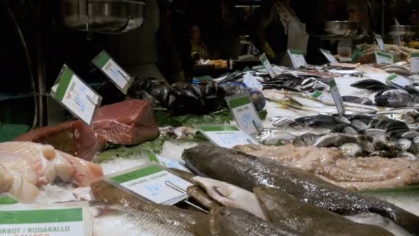 Showcase med färska skaldjur i La Boqueria fiskmarknad. Barcelona. Spanien. — Stockvideo