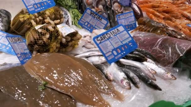 Számláló a friss különböző egzotikus tengeri ételeket, a La Boqueria piac. Barcelona. Spanyolország — Stock videók